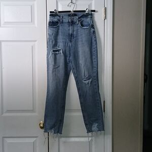Aeropostale Curvy Mom distressed raw hem Jeans  Sz 2  NWOT